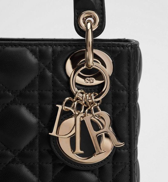 Mini Lady Dior Bag 6205 фото