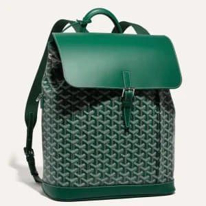 Goyard Alpin MM Backpack 2202 фото