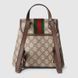 Gucci Ophidia small backpack