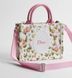 Mini Dior Book Tote with Strap