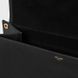 Celine Soft Triomphe Besage in Supple Shiny Lambskin 4874 фото 3