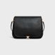 Celine Soft Triomphe Besage in Supple Shiny Lambskin 4874 фото 1