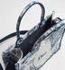 Meduim Dior Book Tote with Strap