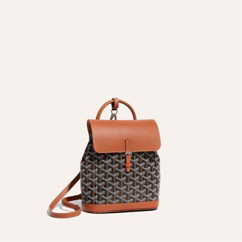 Goyard Alpin Mini Backpack 2936 фото